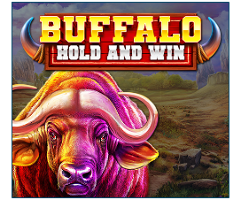 buffalo hold and winl